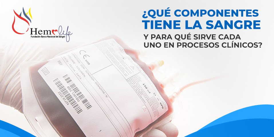 Componentes De La Sangre Y Su Uso En Procesos Clínicos Fundación Banco Nacional De Sangre Hemolife 3346